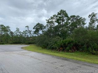 4020 Sebring Ct, New Smyrna Beach, FL 32168