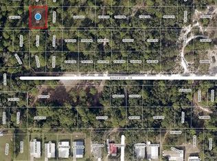 Park Forest Blvd LOT 254, Mount Dora, FL 32757