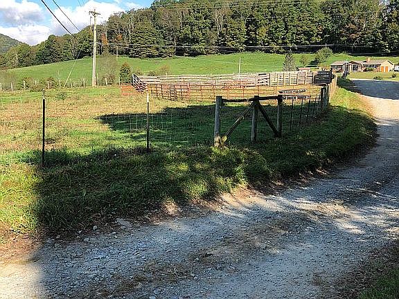 View down the street