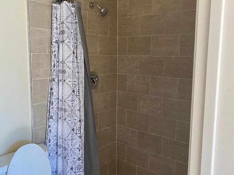 Bathroom 1 (downstairs master)