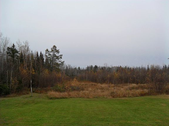 Field