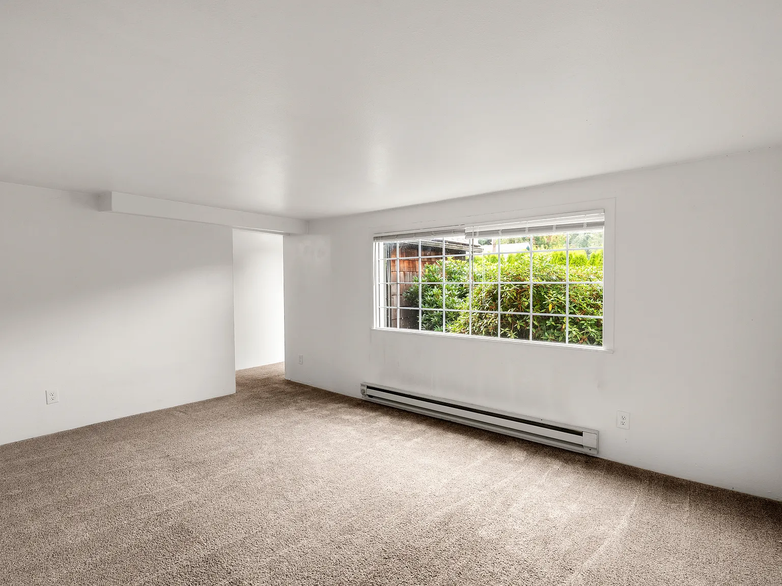 2 bed, 800 sqft, $1,250 — Photo 2