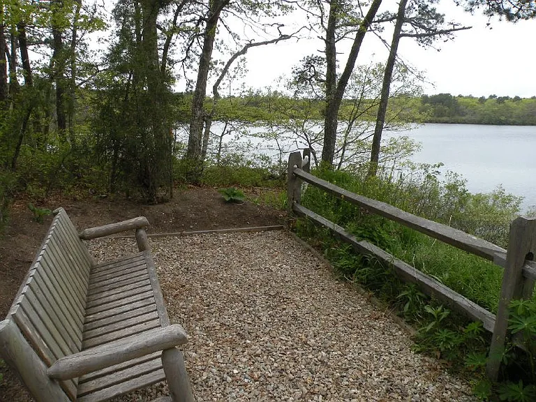 Pine View Dr — Photo 3