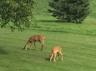 7245 S Robert Trl, Inver Grove Heights, MN 55077