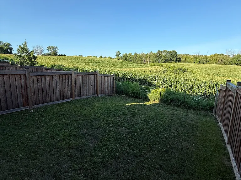 345 Silk Twist Dr — Photo 20