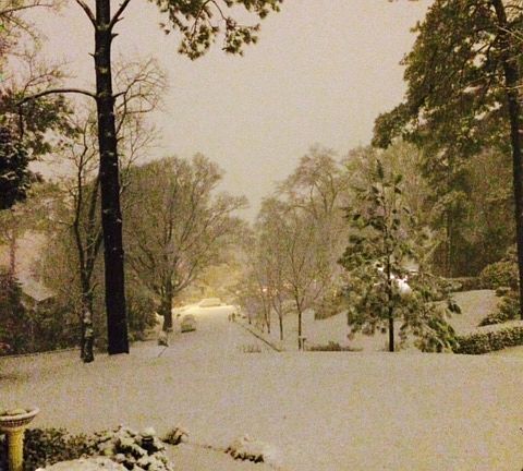 View from front porch 