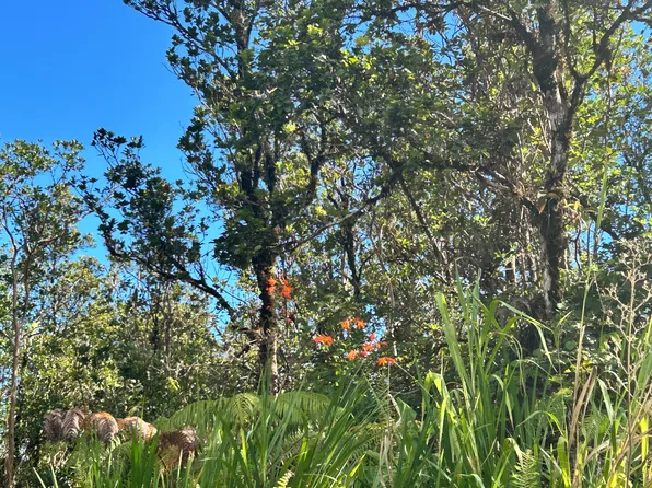 Kaleponi Rd Lot 29, Volcano, HI 96785