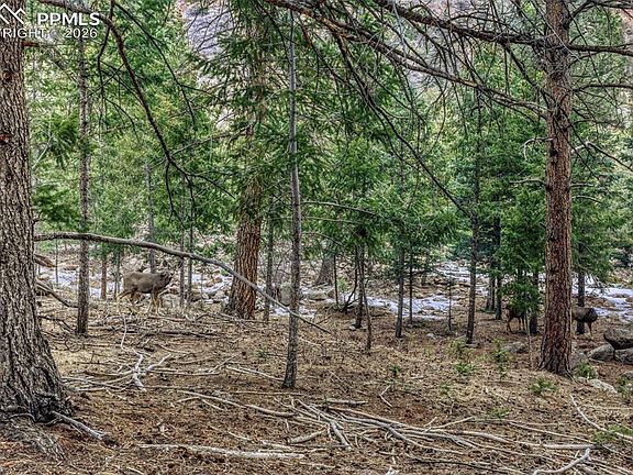 4th image of Rock Ridge Rd