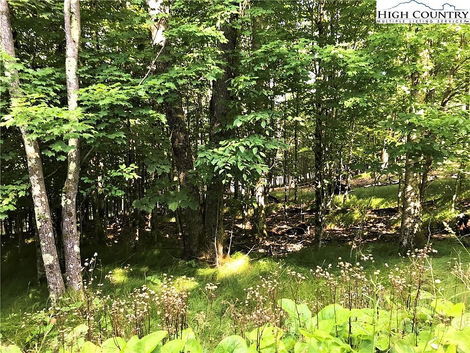 2nd image of 104 Wintergreen Way