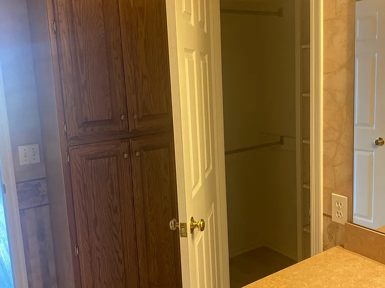 Primary bathroom closet