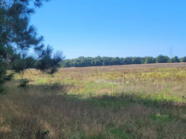 N 88th Ave, Pentwater, MI 49449