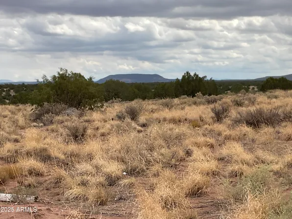 Lot 4 Ranch of the White Mountains -- #4, Concho, AZ 85924