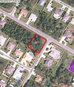 1st image of 243 Bird Of Paradise Dr