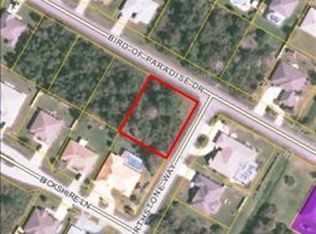 243 Bird Of Paradise Dr, Palm Coast, FL 32137
