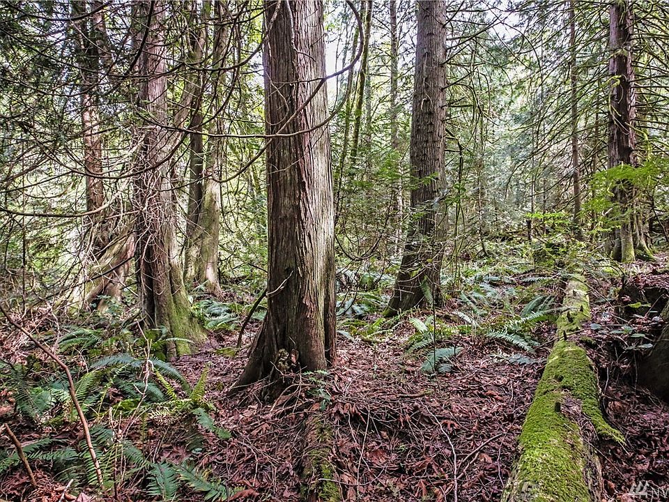 This 5 acres is just plain stunning!