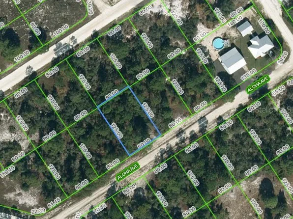 450 Aloha Ave #15, Lake Placid, FL 33852