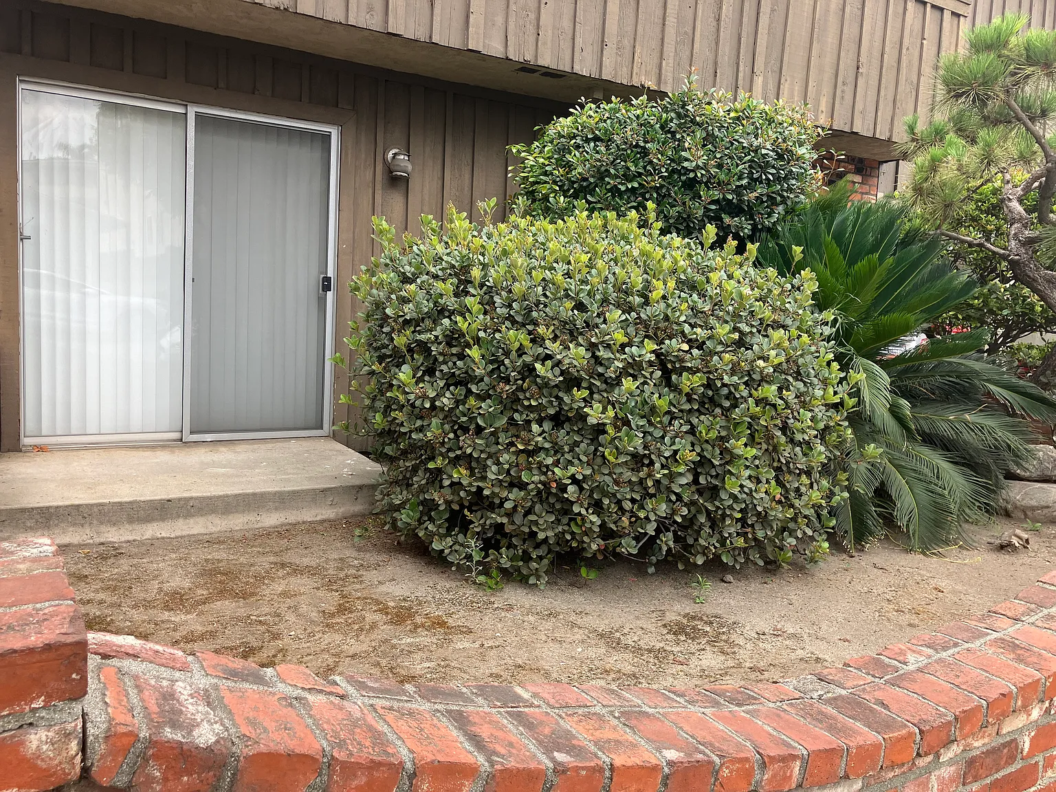 1 bed, 600 sqft, $2,295 — Photo 3