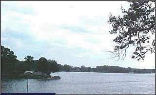 2nd image of 595 Lane 425 Jimmerson Lk