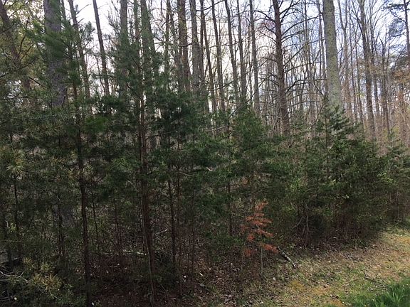 4th image of 4981 Daisy Station Ln