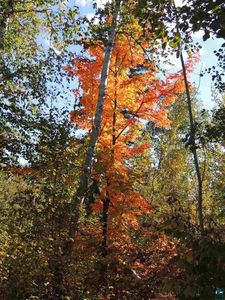 X30 Isak Ridge Rd, Lutsen, MN, 55612