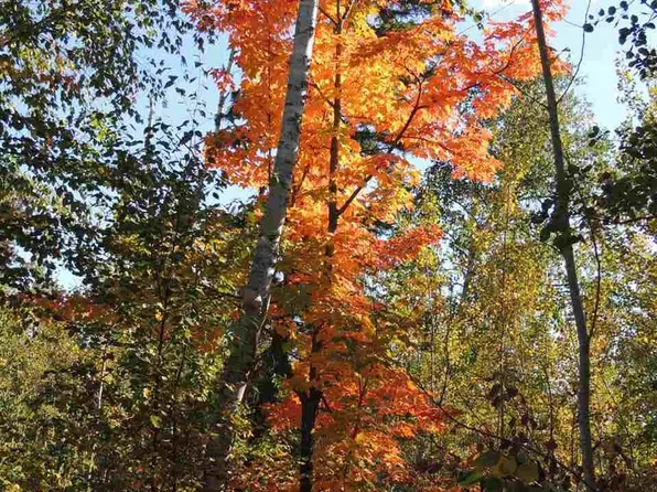 X30 Isak Rdg, Lutsen, MN 55612