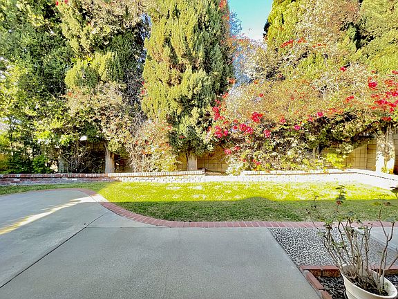 Backyard, from Living Room slider.