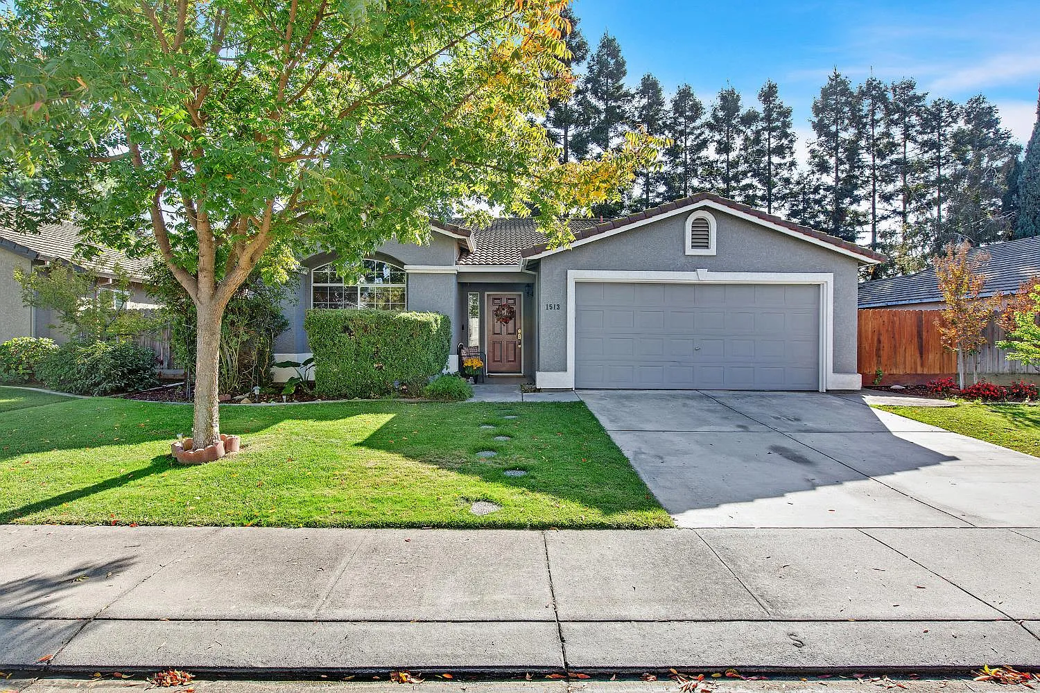 1513 Adriana Way photo 1
