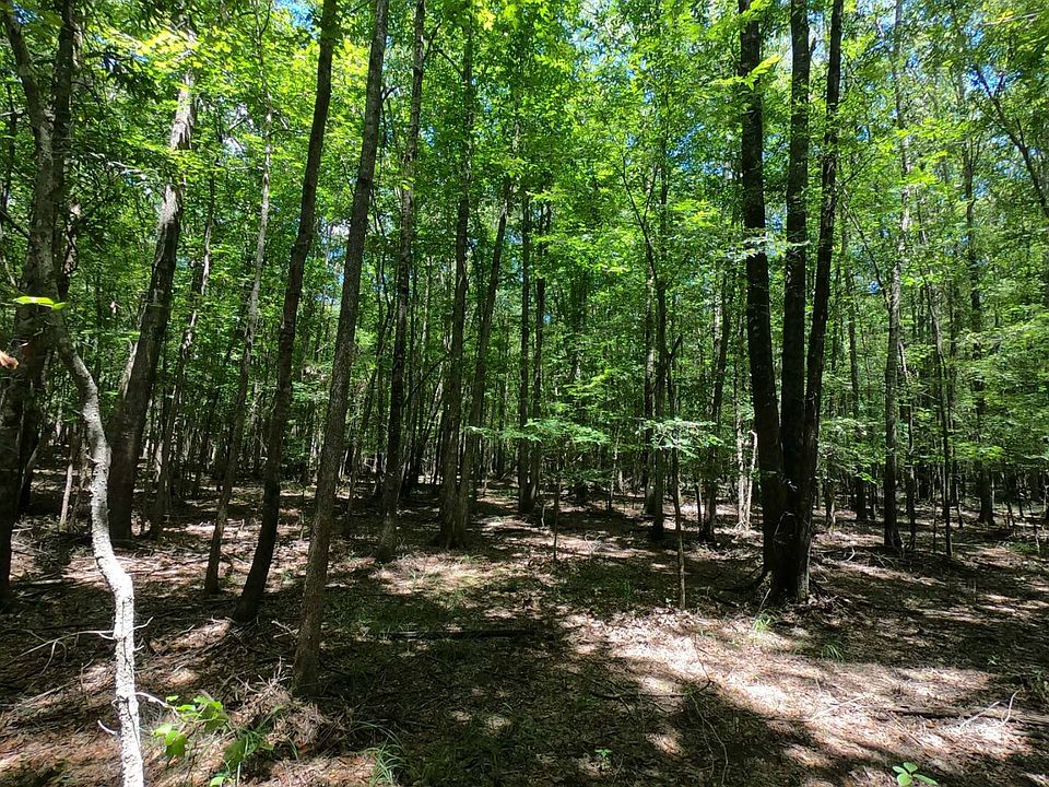 1st image of County Road 4916