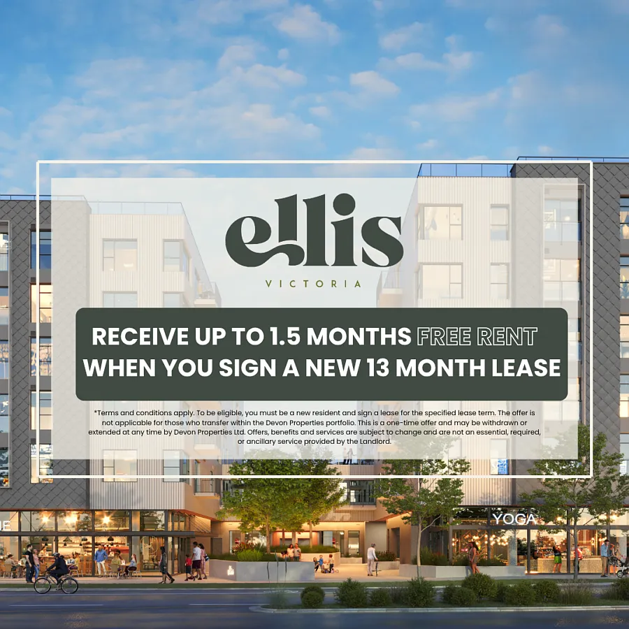 Ellis — Photo 2