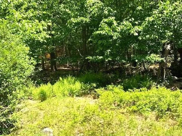 Water Forest End Fern Dr, Milford, PA 18337