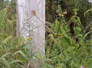 Lehua St LOT 7049, Mountain View, HI 96771