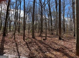 3871 Martin Dr, Ellenwood, GA 30294