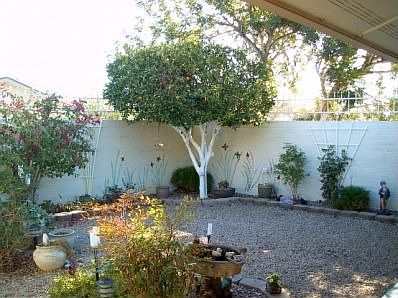 3rd image of 13502 W Bolero Dr