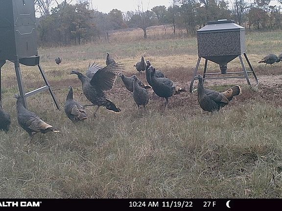 2nd image of Dry Valley Rd