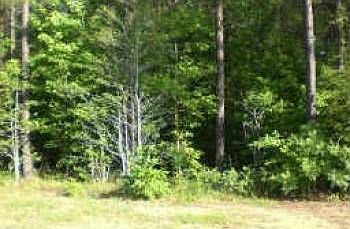 5th image of 16169 Pug Swamp Ln