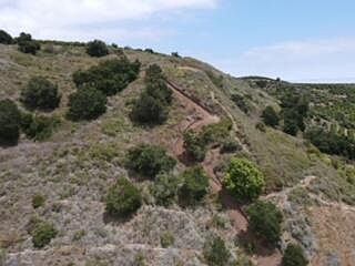 5th image of 744 Vereda Del Ciervo