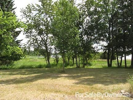 The Yard, the Trees, the Lake
						:
						The deer walk right through your yard