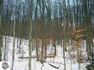 E Tatch Rd, Omena, MI 49674