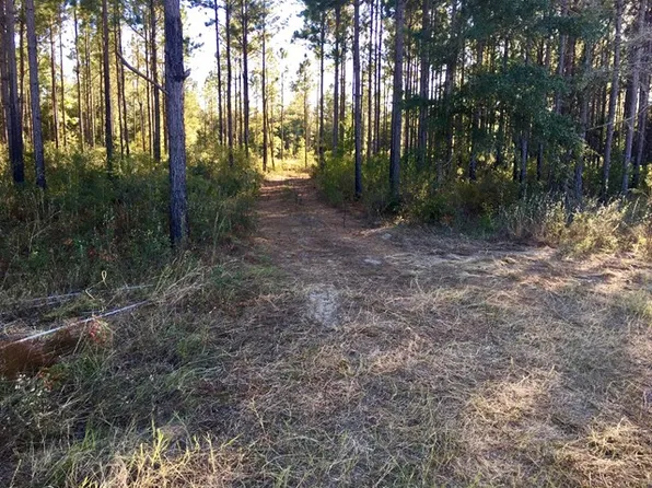 1064 Forrester Pkwy, Leesburg, GA 31763