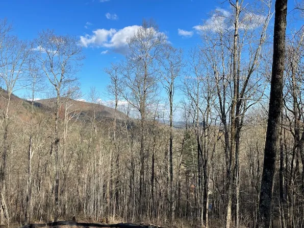 Lot 2 Frond Court, Sapphire, NC 28774