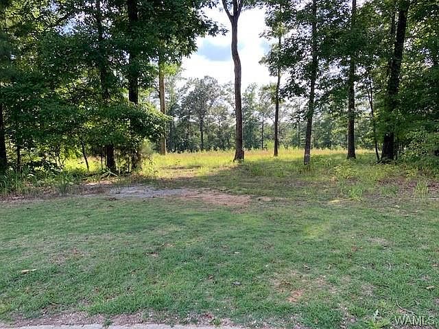 1st image of 4005 Triple Crown Cir