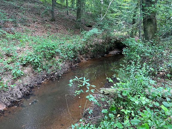 <p>Beautiful creek</p>