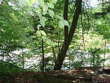 4th image of 1263 Country Club Dr