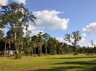 739 Chicken Farm Rd, Osteen, FL 32764