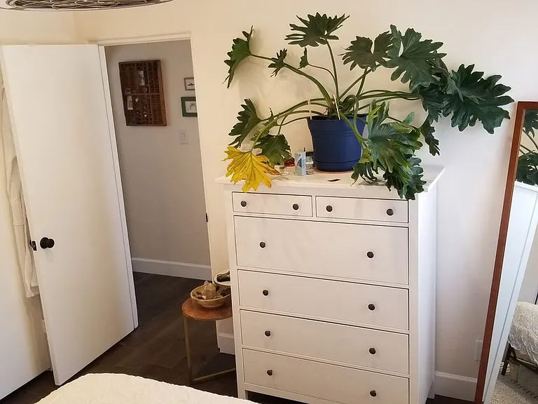 1 bed, 1.0 bath, 620 sqft, $1,395 — Photo 7
