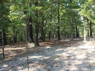 001-02371-001 Mc #136, Yellville, AR, 72687