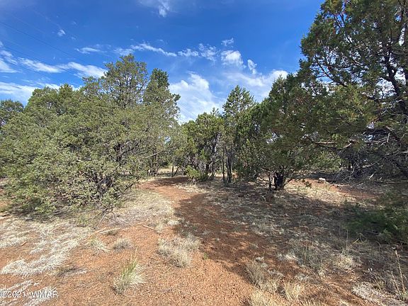 4th image of 3906 Porter Creek Ln