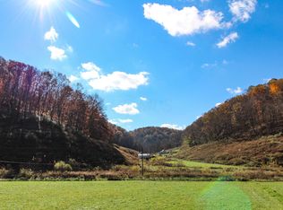 310 Jones Run Rd, New Matamoras, OH 45767