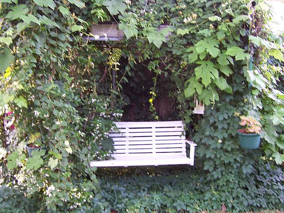 Arbor swing in backyard