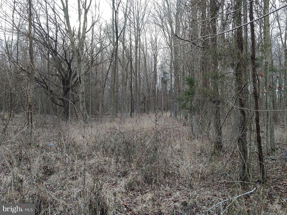 2nd image of 1229 Scott Town Rd